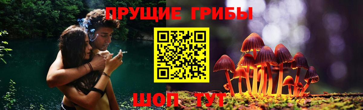 Псилоцибиновые грибы Magic Shrooms  где купить наркотик  Трёхгорный  Вход с VPN  Галлюциногенные грибы ЛСД 
